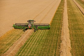Reasons the John Deere D450 Will Simplify Your Small Grain Harvest