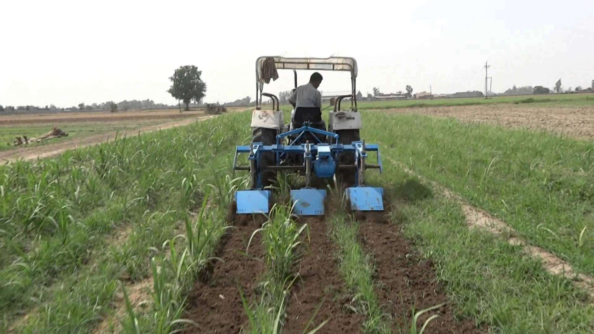 Inter Row Rotary Cultivator - YouTube