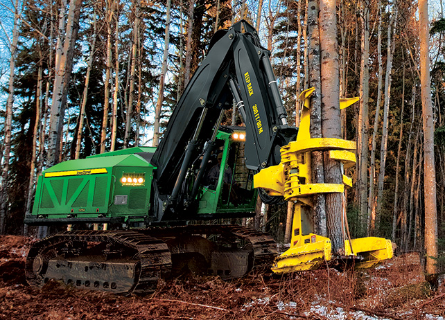 903M Tracked Feller Buncher at work in the forest