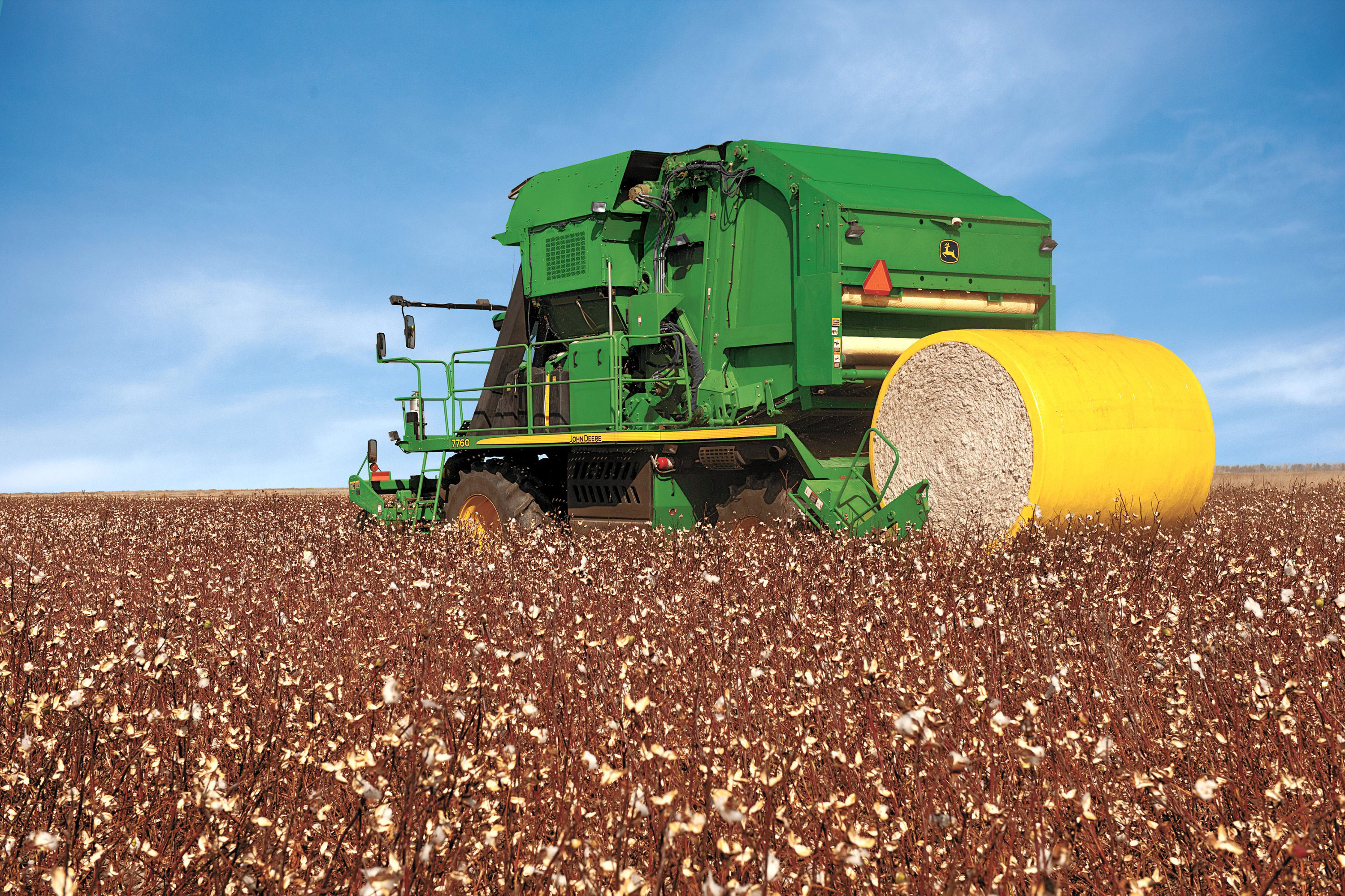 Image Gallery: 20 Corn and Cotton Fall Harvest Pictures