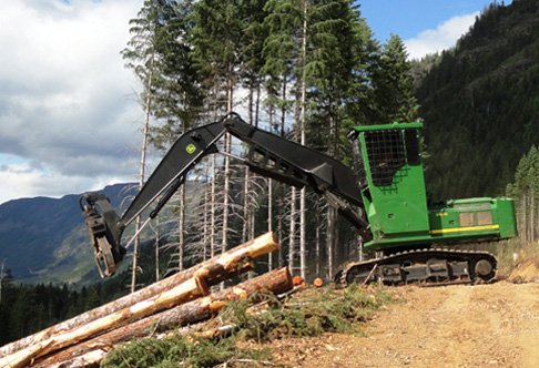 3754D Forestry Swing Machine piling logs on a hill with mountains in ...