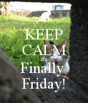 KEEP CALM it's Finally Friday! - KEEP CALM AND CARRY ON Image ...