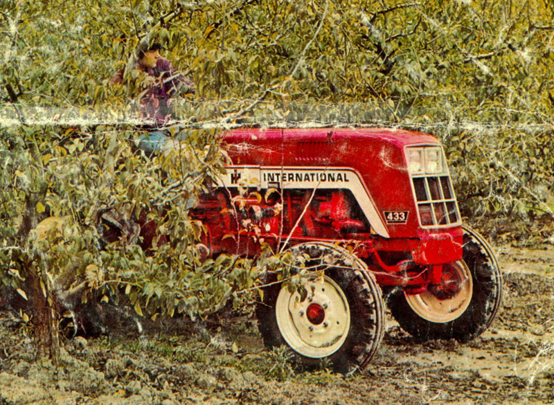 International Harvester 433 Vigneron-Etroit: Photo gallery, complete ...