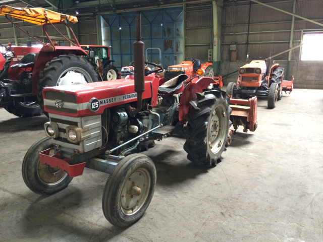 Used Massey Ferguson MF-125 Tractors for sale | CJC- 51804 | Car ...