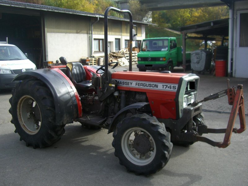 Orchard tractor Massey Ferguson MF 174 AS-S - technikboerse.com
