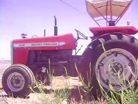 MOV01995 Tractor Massey Ferguson 282 $10,000 Dlls - YouTube