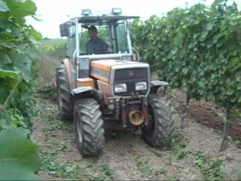 ... Vineyard in land of Rahovec-Kosova with Massey Ferguson 374V - YouTube