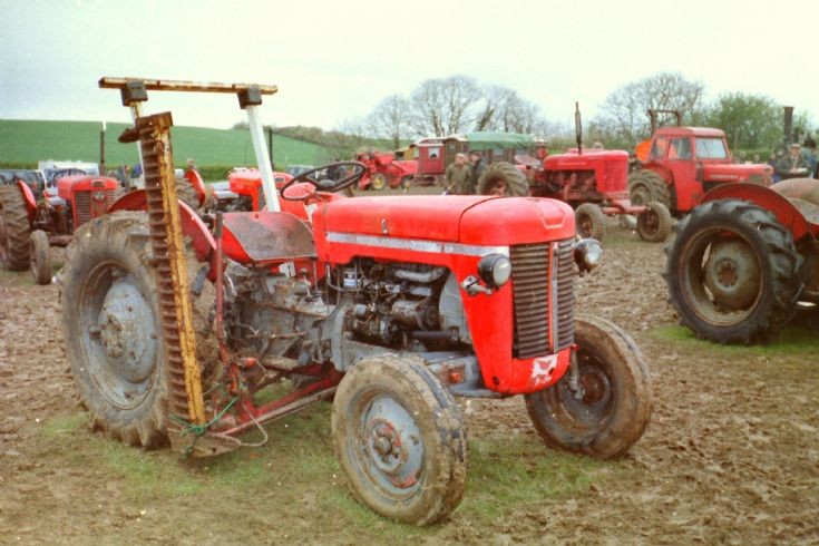 Tractor Photos - Massey-Ferguson 825