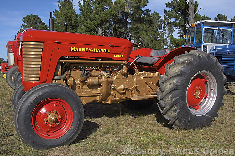 massey harris 50 - group picture, image by tag - keywordpictures.com