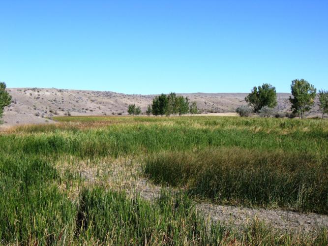 Archived Land near North Melstone Road, Melstone, Montana, 59054 ...