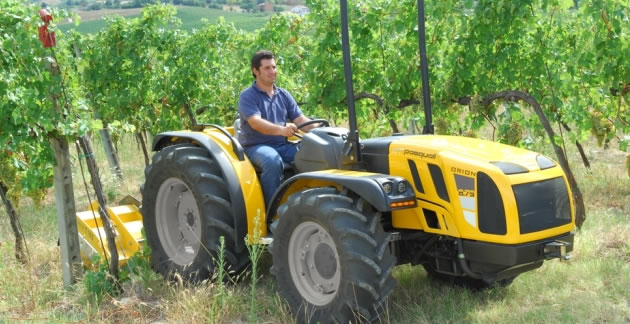 Трактор Pasquali ORION SDT RS купить и заказать ...