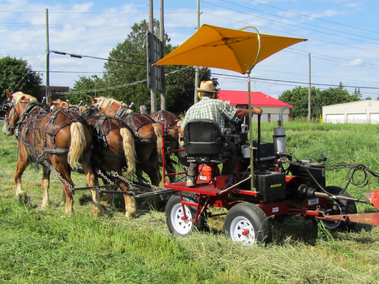 75 HP Forecart, 4 Horses abreast, cutting hay