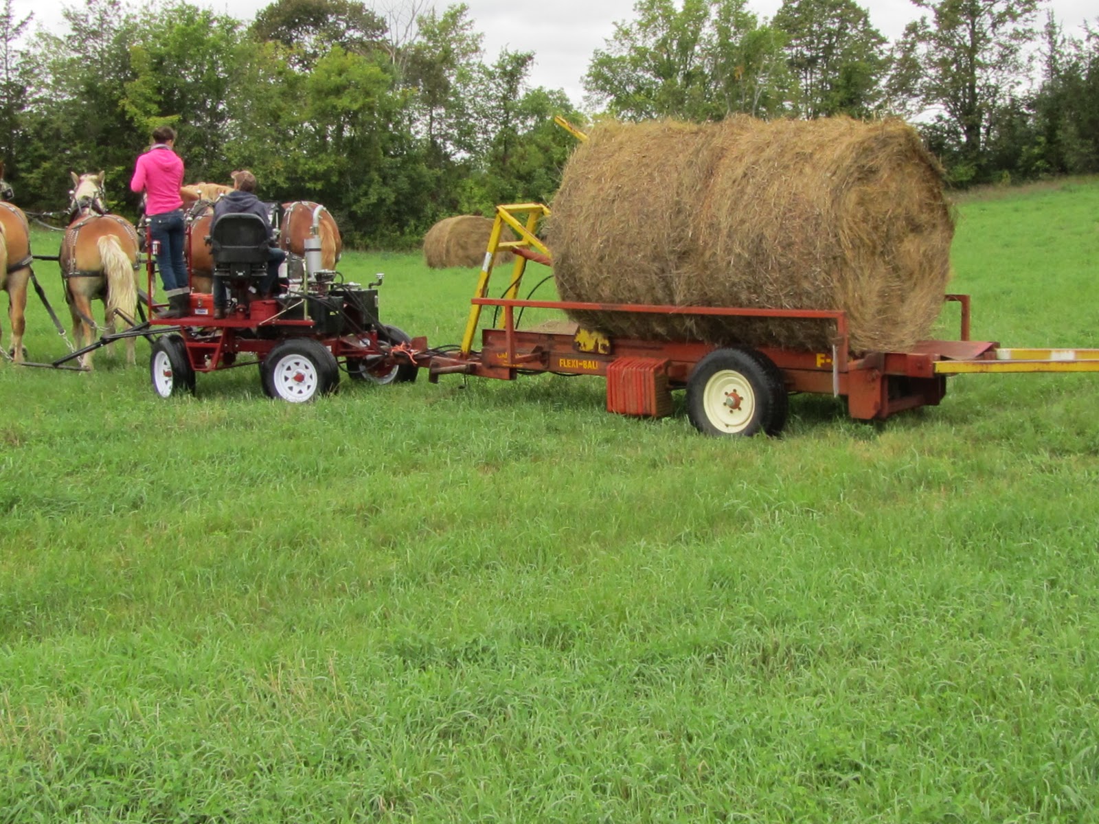 Kim Hadwen: Pioneer Horse Equipment