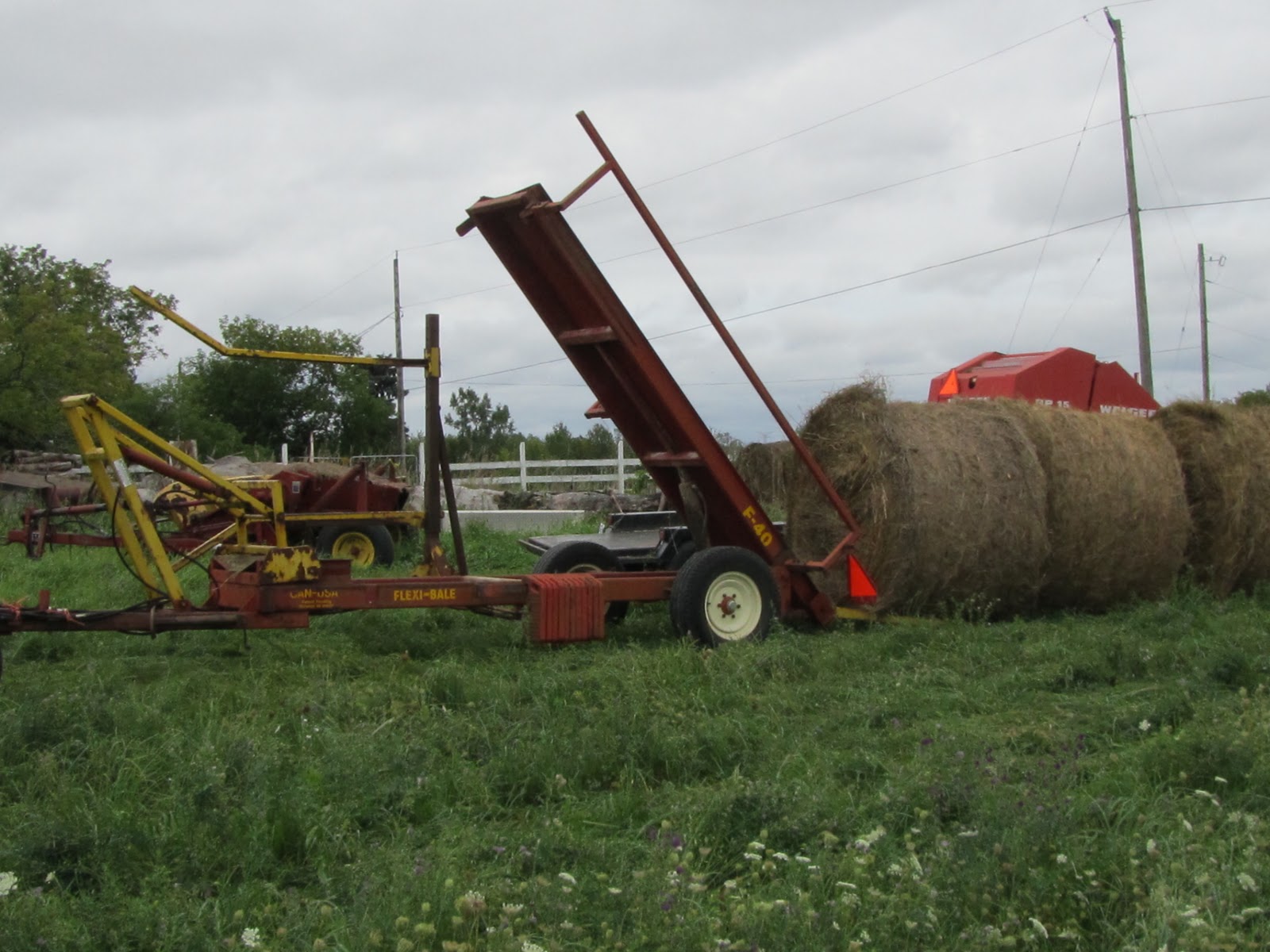 Kim Hadwen: Pioneer Horse Equipment