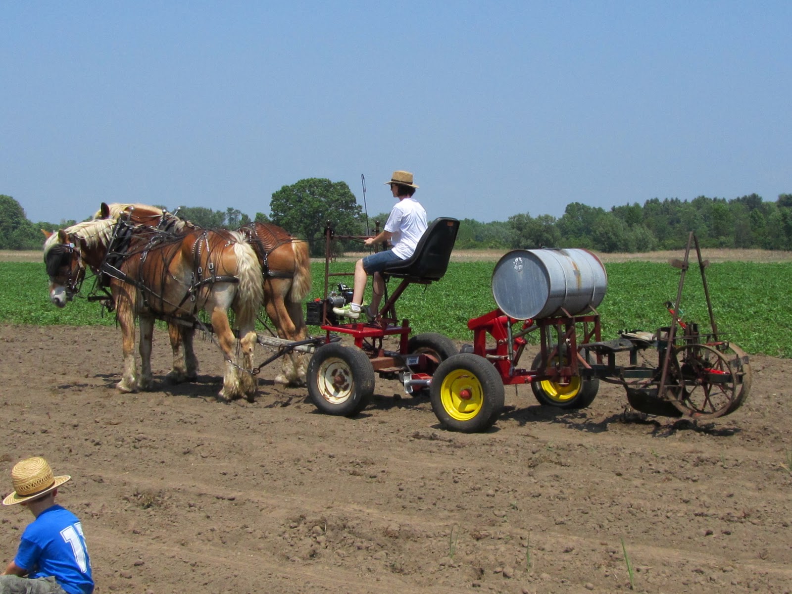 Kim Hadwen: Pioneer Horse Equipment