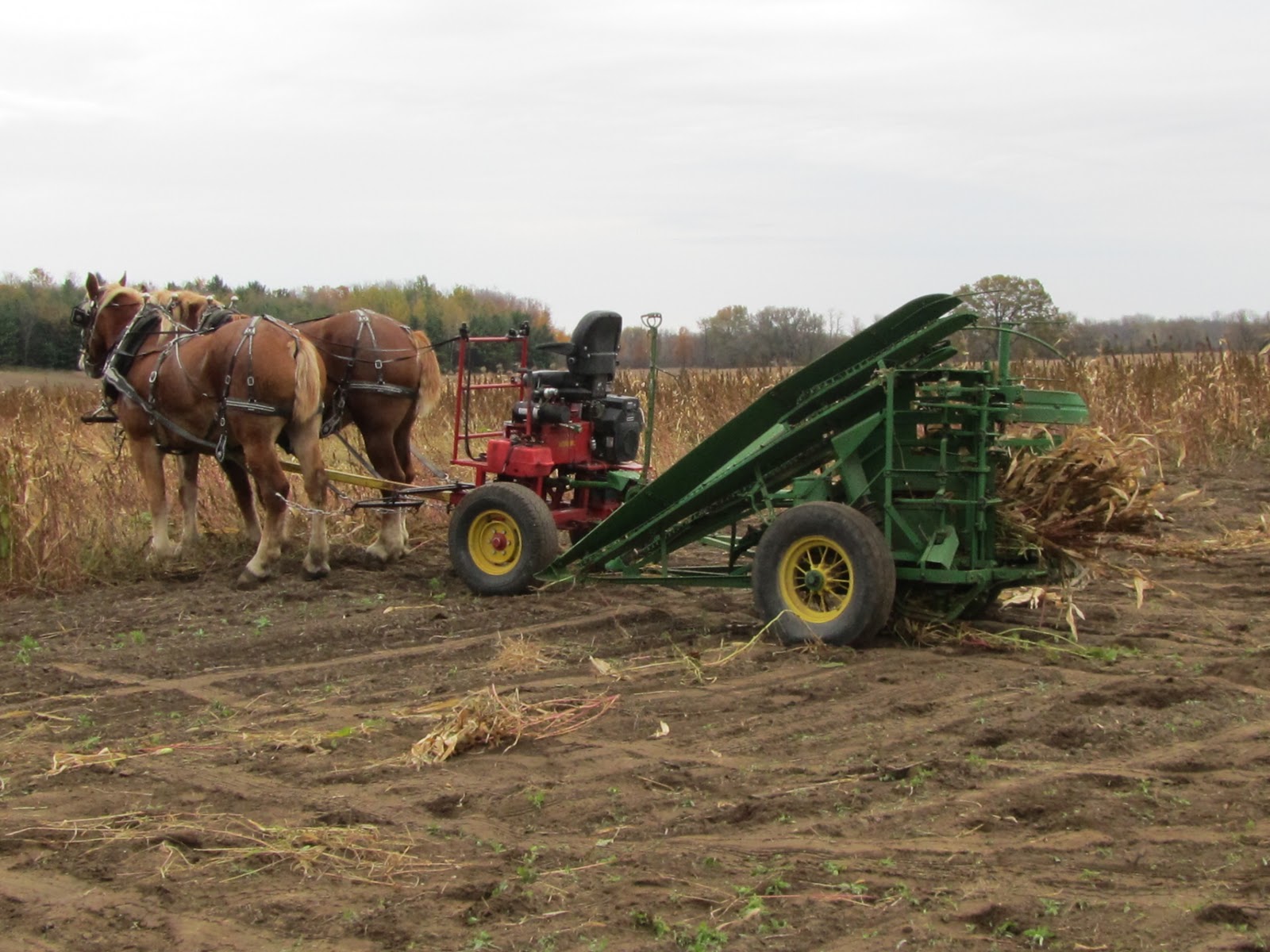 ... local suppliers for Pioneer draft horse equipment from Dalton Ohio