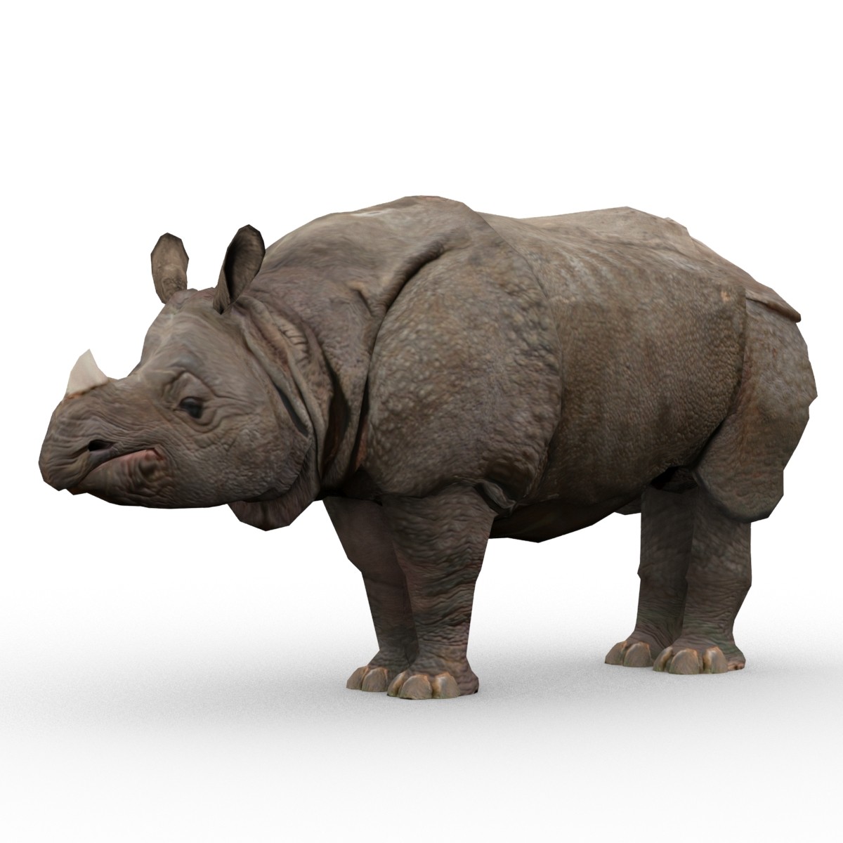 3D max rhinoceros rhino vismat