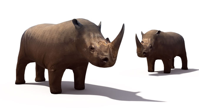 3D model Rhino VR / AR / low-poly MAX