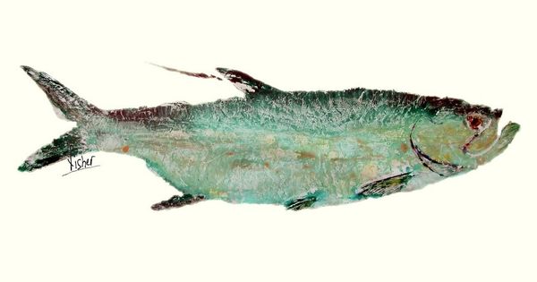 Silver King Tarpon - Gyotaku Fish Rubbing - Limited Edition Print (24 ...