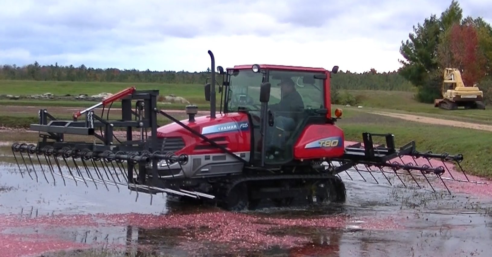 Yanmar T80 Crawler Tracked Tractor Knocking off Cranberries - YouTube