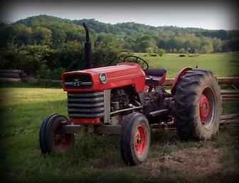 Original Ad: Massey 3165 (industrial 165) i beleive it is a 1967 ...