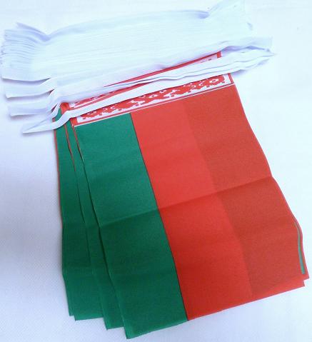 9m 30 Flag Belarus Belarusian Bunting