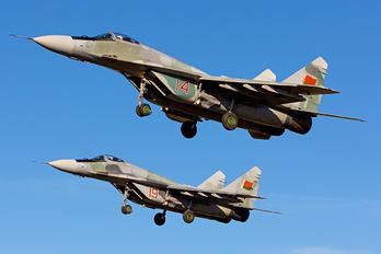 14 - Belarus - Air Force Mikoyan-Gurevich MiG-29 photo (592 views)