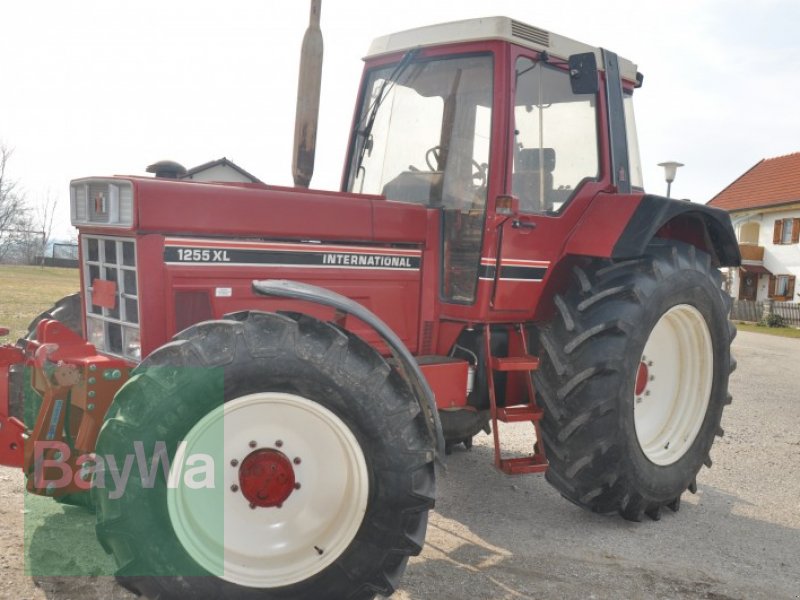 Case IH 1255 XL Tractor - Used tractors and farm equipment ...