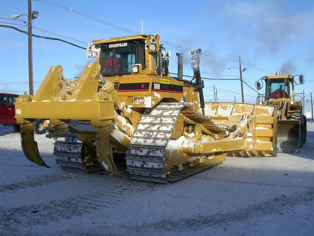d8 caterpillar - group picture, image by tag - keywordpictures.com