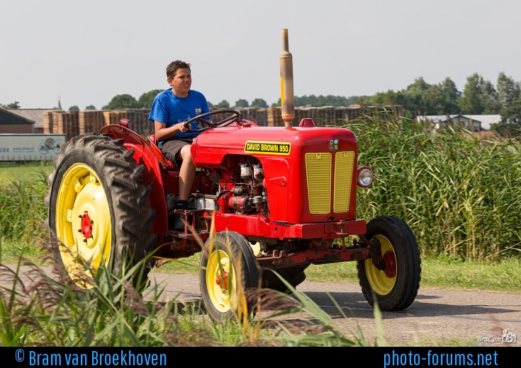 DAVID BROWN 950 - Tractor Photos