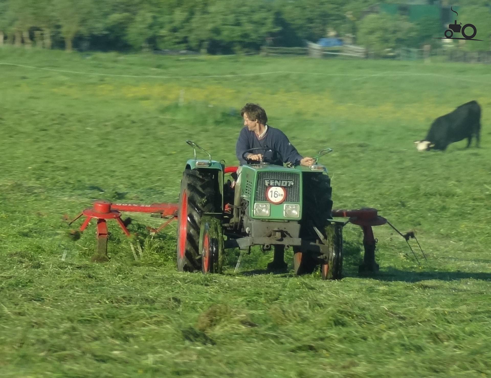 Foto van een Fendt farmer 1D, druk bezig met gras schudden.. 2 jaar ...