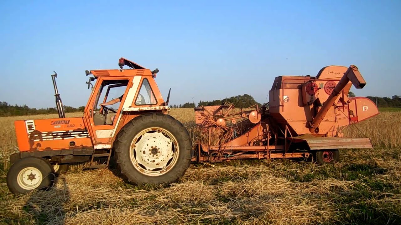 Fiat 880/5 harvesting - YouTube